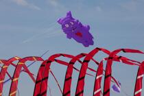 International Meetings of kites in Berck sur Mer [AT] © Philip Plisson / Plisson La Trinité / AA28611 - Photo Galleries - Berck