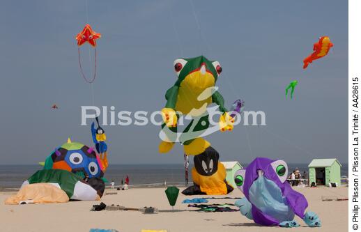 International Meetings of kites in Berck sur Mer [AT] - © Philip Plisson / Plisson La Trinité / AA28615 - Photo Galleries - Nord-Pas-de-Calais