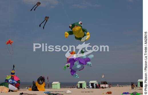 International Meetings of kites in Berck sur Mer [AT] - © Philip Plisson / Plisson La Trinité / AA28616 - Photo Galleries - Sport and Leisure