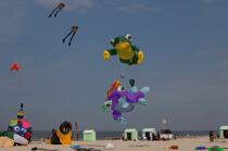 International Meetings of kites in Berck sur Mer [AT] © Philip Plisson / Plisson La Trinité / AA28616 - Photo Galleries - Nord-Pas-de-Calais