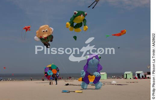 International Meetings of kites in Berck sur Mer [AT] - © Philip Plisson / Plisson La Trinité / AA28622 - Photo Galleries - Nord-Pas-de-Calais