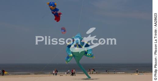 International Meetings of kites in Berck sur Mer [AT] - © Philip Plisson / Plisson La Trinité / AA28623 - Photo Galleries - International Meeting of Kite in Berck-sur-Mer.