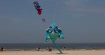 International Meetings of kites in Berck sur Mer [AT] © Philip Plisson / Plisson La Trinité / AA28623 - Photo Galleries - Nord-Pas-de-Calais