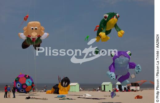 International Meetings of kites in Berck sur Mer [AT] - © Philip Plisson / Plisson La Trinité / AA28624 - Photo Galleries - Berck