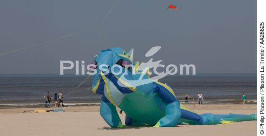 International Meetings of kites in Berck sur Mer [AT] - © Philip Plisson / Plisson La Trinité / AA28625 - Photo Galleries - Kite