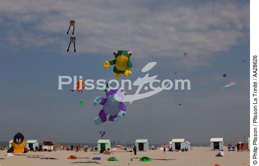 International Meetings of kites in Berck sur Mer [AT] - © Philip Plisson / Plisson La Trinité / AA28626 - Photo Galleries - Town [62]
