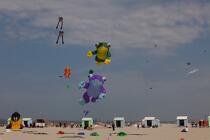 International Meetings of kites in Berck sur Mer [AT] © Philip Plisson / Plisson La Trinité / AA28626 - Photo Galleries - Town [62]