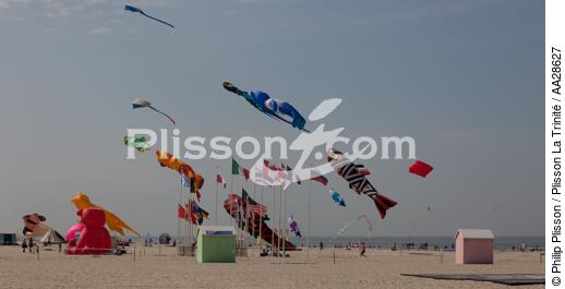 International Meetings of kites in Berck sur Mer [AT] - © Philip Plisson / Plisson La Trinité / AA28627 - Photo Galleries - Kite
