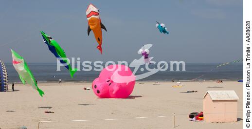 International Meetings of kites in Berck sur Mer [AT] - © Philip Plisson / Plisson La Trinité / AA28628 - Photo Galleries - Town [62]