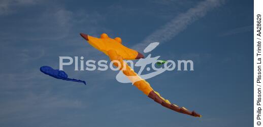 International Meetings of kites in Berck sur Mer [AT] - © Philip Plisson / Plisson La Trinité / AA28629 - Photo Galleries - Pas de Calais