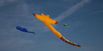 International Meetings of kites in Berck sur Mer [AT] © Philip Plisson / Plisson La Trinité / AA28629 - Photo Galleries - Nord-Pas-de-Calais