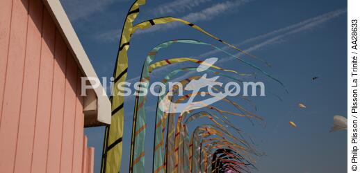 International Meetings of kites in Berck sur Mer [AT] - © Philip Plisson / Plisson La Trinité / AA28633 - Photo Galleries - Berck
