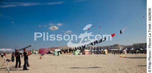 International Meetings of kites in Berck sur Mer [AT] - © Philip Plisson / Plisson La Trinité / AA28636 - Photo Galleries - Berck