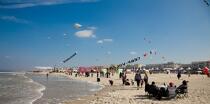 International Meetings of kites in Berck sur Mer [AT] © Philip Plisson / Plisson La Trinité / AA28637 - Photo Galleries - Town [62]