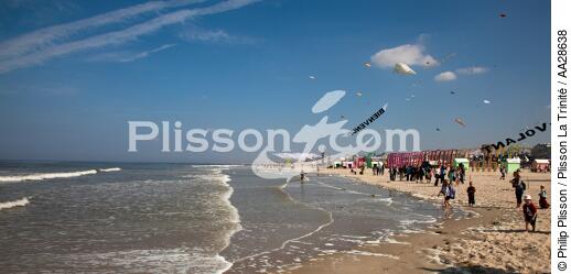 International Meetings of kites in Berck sur Mer [AT] - © Philip Plisson / Plisson La Trinité / AA28638 - Photo Galleries - Town [62]