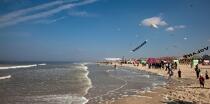 International Meetings of kites in Berck sur Mer [AT] © Philip Plisson / Plisson La Trinité / AA28638 - Photo Galleries - Pas de Calais