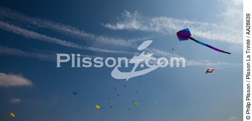 International Meetings of kites in Berck sur Mer [AT] - © Philip Plisson / Plisson La Trinité / AA28639 - Photo Galleries - Nord-Pas-de-Calais