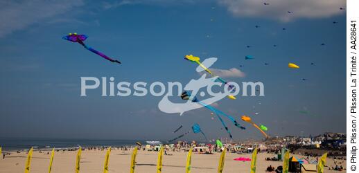 International Meetings of kites in Berck sur Mer [AT] - © Philip Plisson / Plisson La Trinité / AA28641 - Photo Galleries - Sport and Leisure