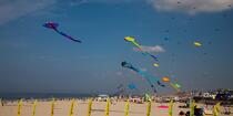 International Meetings of kites in Berck sur Mer [AT] © Philip Plisson / Plisson La Trinité / AA28641 - Photo Galleries - Nord-Pas-de-Calais
