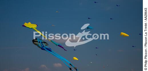 International Meetings of kites in Berck sur Mer [AT] - © Philip Plisson / Plisson La Trinité / AA28643 - Photo Galleries - Pas de Calais