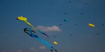 International Meetings of kites in Berck sur Mer [AT] © Philip Plisson / Pêcheur d’Images / AA28643 - Photo Galleries - International Meeting of Kite in Berck-sur-Mer.