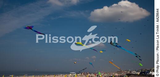 International Meetings of kites in Berck sur Mer [AT] - © Philip Plisson / Plisson La Trinité / AA28644 - Photo Galleries - Non-nautical sports