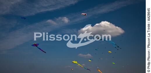 International Meetings of kites in Berck sur Mer [AT] - © Philip Plisson / Plisson La Trinité / AA28645 - Photo Galleries - Berck