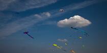 International Meetings of kites in Berck sur Mer [AT] © Philip Plisson / Plisson La Trinité / AA28645 - Photo Galleries - Kite