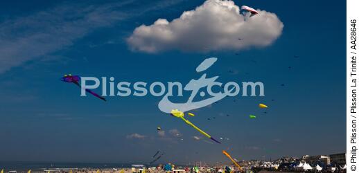 International Meetings of kites in Berck sur Mer [AT] - © Philip Plisson / Plisson La Trinité / AA28646 - Photo Galleries - International Meeting of Kite in Berck-sur-Mer.