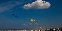 International Meetings of kites in Berck sur Mer [AT] © Philip Plisson / Plisson La Trinité / AA28646 - Photo Galleries - Town [62]