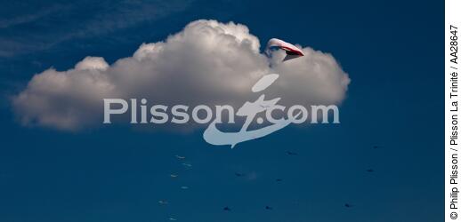 International Meetings of kites in Berck sur Mer [AT] - © Philip Plisson / Plisson La Trinité / AA28647 - Photo Galleries - Berck