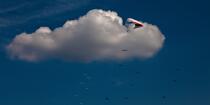 International Meetings of kites in Berck sur Mer [AT] © Philip Plisson / Plisson La Trinité / AA28647 - Photo Galleries - Town [62]