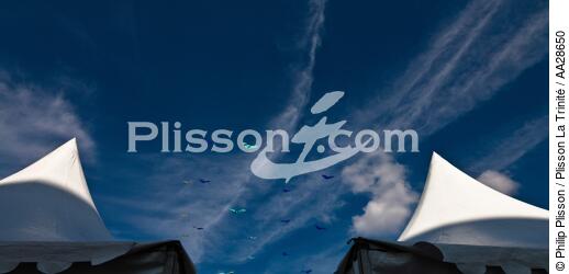 International Meetings of kites in Berck sur Mer [AT] - © Philip Plisson / Plisson La Trinité / AA28650 - Photo Galleries - Nord-Pas-de-Calais