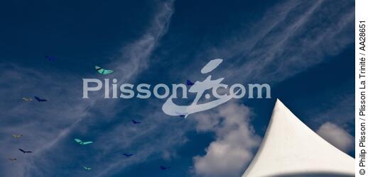 International Meetings of kites in Berck sur Mer [AT] - © Philip Plisson / Plisson La Trinité / AA28651 - Photo Galleries - Town [62]