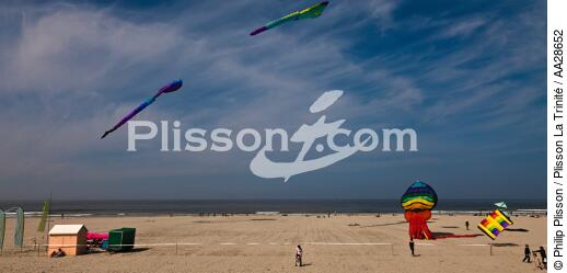 International Meetings of kites in Berck sur Mer [AT] - © Philip Plisson / Plisson La Trinité / AA28652 - Photo Galleries - Nord-Pas-de-Calais