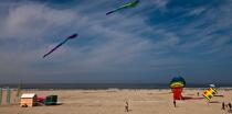 International Meetings of kites in Berck sur Mer [AT] © Philip Plisson / Plisson La Trinité / AA28652 - Photo Galleries - Town [62]