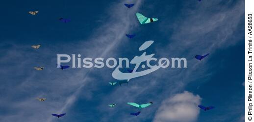Rencontres Internationales de cerfs-volants à Berck sur Mer - © Philip Plisson / Plisson La Trinité / AA28653 - Nos reportages photos - Sport non nautique