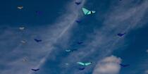 International Meetings of kites in Berck sur Mer [AT] © Philip Plisson / Plisson La Trinité / AA28653 - Photo Galleries - Kite
