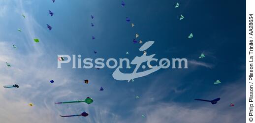 International Meetings of kites in Berck sur Mer [AT] - © Philip Plisson / Plisson La Trinité / AA28654 - Photo Galleries - Berck