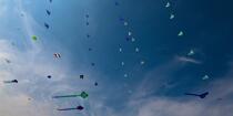International Meetings of kites in Berck sur Mer [AT] © Philip Plisson / Plisson La Trinité / AA28654 - Photo Galleries - Kite