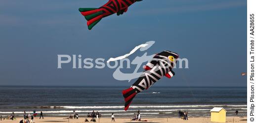 International Meetings of kites in Berck sur Mer [AT] - © Philip Plisson / Plisson La Trinité / AA28655 - Photo Galleries - Sport and Leisure