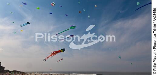 International Meetings of kites in Berck sur Mer [AT] - © Philip Plisson / Plisson La Trinité / AA28656 - Photo Galleries - Sport and Leisure