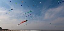 International Meetings of kites in Berck sur Mer [AT] © Philip Plisson / Plisson La Trinité / AA28656 - Photo Galleries - Nord-Pas-de-Calais