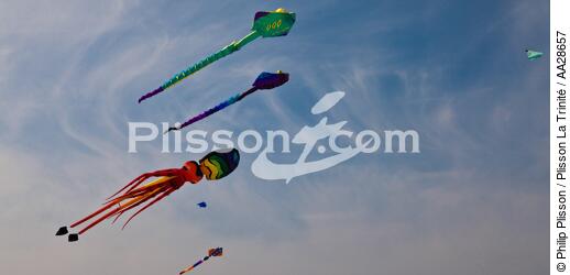 International Meetings of kites in Berck sur Mer [AT] - © Philip Plisson / Plisson La Trinité / AA28657 - Photo Galleries - Berck