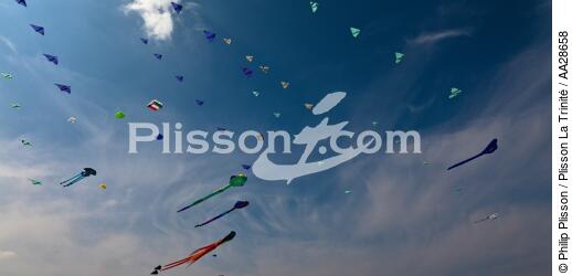 International Meetings of kites in Berck sur Mer [AT] - © Philip Plisson / Plisson La Trinité / AA28658 - Photo Galleries - Framing