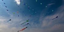 International Meetings of kites in Berck sur Mer [AT] © Philip Plisson / Plisson La Trinité / AA28658 - Photo Galleries - Town [62]