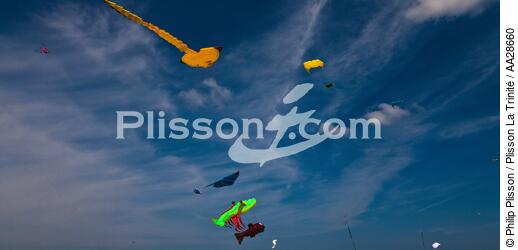 Rencontres Internationales de cerfs-volants à Berck sur Mer - © Philip Plisson / Plisson La Trinité / AA28660 - Nos reportages photos - Ville [62]