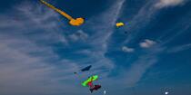 Rencontres Internationales de cerfs-volants à Berck sur Mer © Philip Plisson / Plisson La Trinité / AA28660 - Nos reportages photos - Sport et loisir