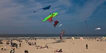 International Meetings of kites in Berck sur Mer [AT] © Philip Plisson / Plisson La Trinité / AA28661 - Photo Galleries - Non-nautical sports