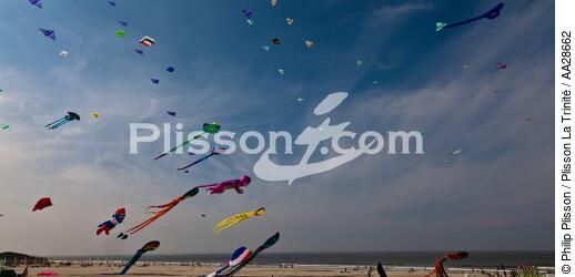 International Meetings of kites in Berck sur Mer [AT] - © Philip Plisson / Plisson La Trinité / AA28662 - Photo Galleries - Framing